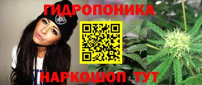 прущий лед Кандалакша