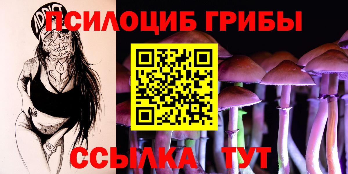Псилоцибиновые грибы Cubensis Лыткарино